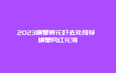 2024横琴赏花好去处推荐 横琴网红花海