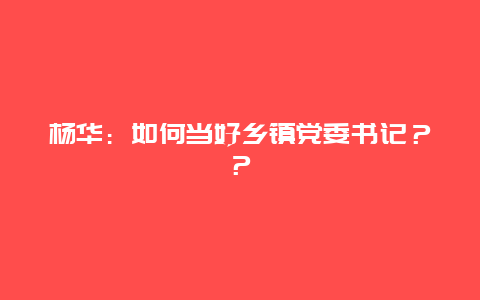 杨华：如何当好乡镇党委书记？？