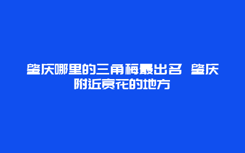 肇庆哪里的三角梅最出名 肇庆附近赏花的地方