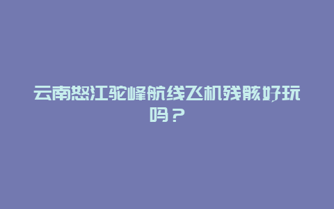 云南怒江驼峰航线飞机残骸好玩吗？