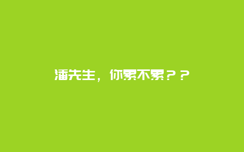 潘先生，你累不累？？