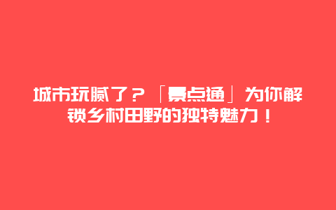 城市玩腻了？「景点通」为你解锁乡村田野的独特魅力！