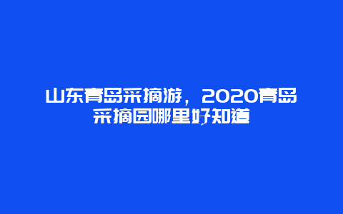 山东青岛采摘游，2020青岛采摘园哪里好知道