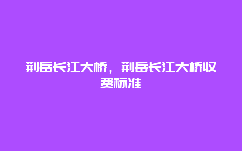 荆岳长江大桥，荆岳长江大桥收费标准