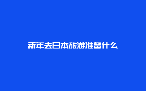 新年去日本旅游准备什么