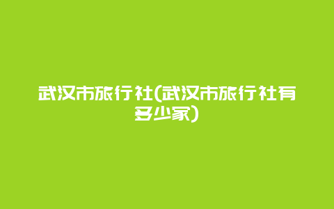 武汉市旅行社，武汉市旅行社有多少家