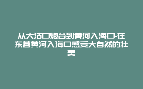 从大沽口炮台到黄河入海口-在东营黄河入海口感受大自然的壮美