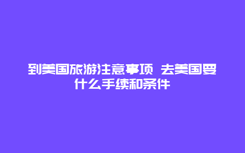 到美国旅游注意事项 去美国要什么手续和条件