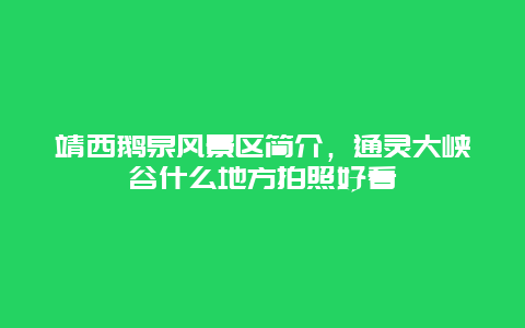 靖西鹅泉风景区简介，通灵大峡谷什么地方拍照好看