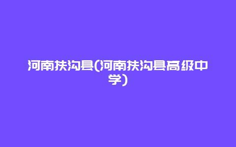 河南扶沟县，河南扶沟县高级中学