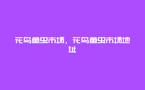 花鸟鱼虫市场，花鸟鱼虫市场地址