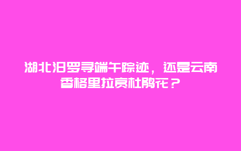 湖北汨罗寻端午踪迹，还是云南香格里拉赏杜鹃花？