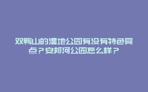 双鸭山的湿地公园有没有特色亮点？安邦河公园怎么样？