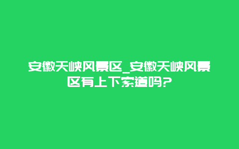 安徽天峡风景区_安徽天峡风景区有上下索道吗?