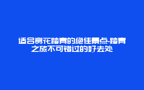 适合赏花踏青的绝佳景点-踏青之旅不可错过的好去处