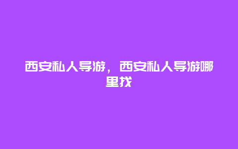 西安私人导游，西安私人导游哪里找