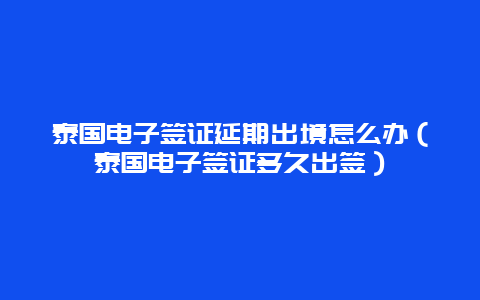 泰国电子签证延期出境怎么办（泰国电子签证多久出签）