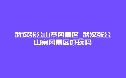 武汉张公山寨风景区_武汉张公山寨风景区好玩吗