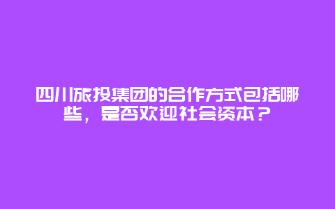 四川旅投集团的合作方式包括哪些，是否欢迎社会资本？