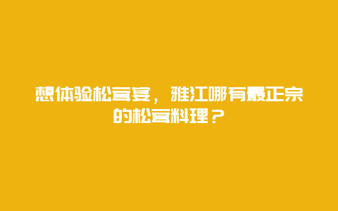 想体验松茸宴，雅江哪有最正宗的松茸料理？