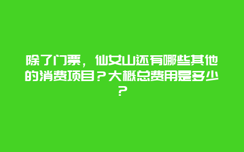 除了门票，仙女山还有哪些其他的消费项目？大概总费用是多少？