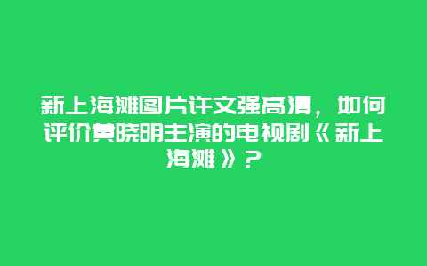 新上海滩图片许文强高清，如何评价黄晓明主演的电视剧《新上海滩》？