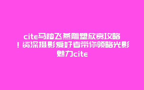 cite马踏飞燕雕塑欣赏攻略！资深摄影爱好者带你领略光影魅力cite