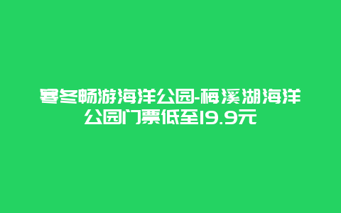 寒冬畅游海洋公园-梅溪湖海洋公园门票低至19.9元