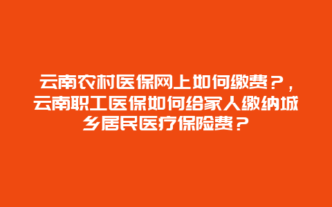 云南农村医保网上如何缴费？，云南职工医保如何给家人缴纳城乡居民医疗保险费？