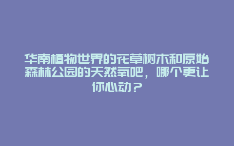 华南植物世界的花草树木和原始森林公园的天然氧吧，哪个更让你心动？