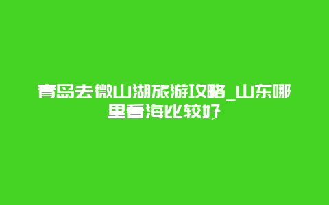 青岛去微山湖旅游攻略_山东哪里看海比较好