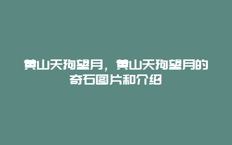 黄山天狗望月，黄山天狗望月的奇石图片和介绍