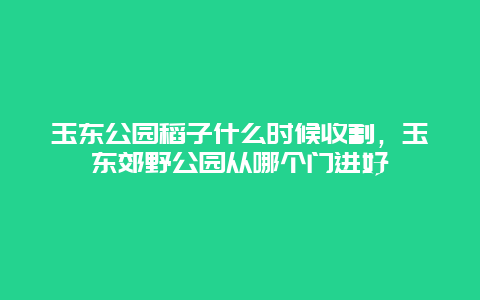 玉东公园稻子什么时候收割，玉东郊野公园从哪个门进好