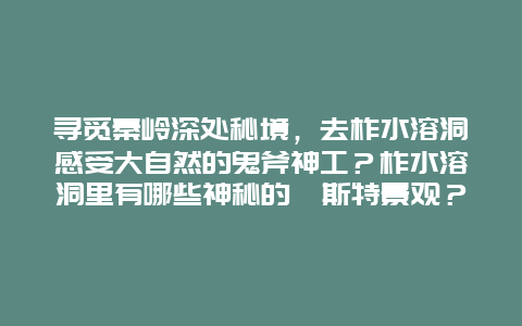 寻觅秦岭深处秘境，去柞水溶洞感受大自然的鬼斧神工？柞水溶洞里有哪些神秘的喀斯特景观？