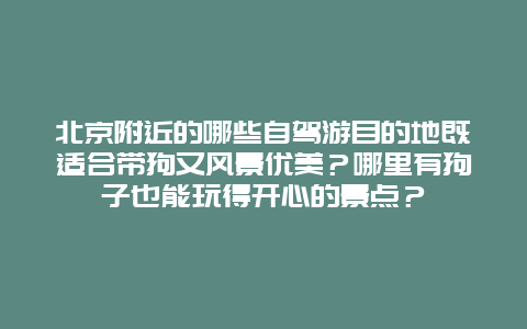 北京附近的哪些自驾游目的地既适合带狗又风景优美？哪里有狗子也能玩得开心的景点？